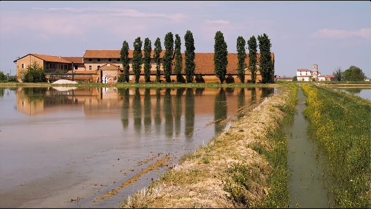 Il Bosco delle Sorti