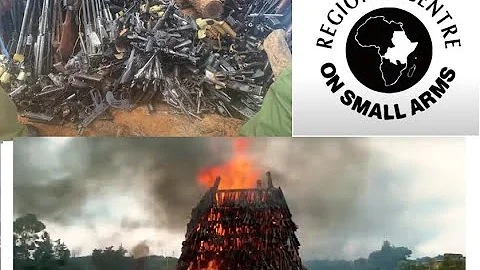 The Regional Center on Small Arms & Light Weapons (RECSA) Documentary