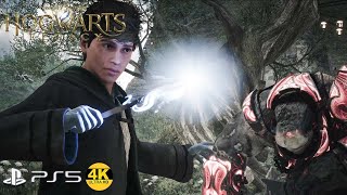 Using Ancient Magic for the first time - Armoured Troll Battle - Hogwarts Legacy