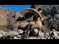 Bezoar Ibex Hunting Attila & Turkish Frontier Outdoor Adventure Co.