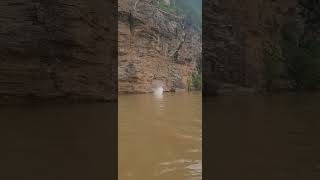WE JUMPED OFF A 100 FOOT CLIFF AT CHATTAHOOCHEE!