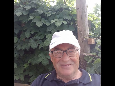 Meine eigene Erklärung und Hinweis zur neuen Elementum Debit Karte