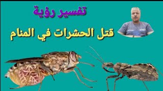 تفسير حلم رؤية قتل الحشرات في المنام / الشيخ أبوزيد الفتيحي