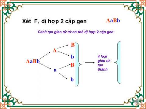 Sinh học 9 - Bài 5 Lai hai cặp tính trạng (tt)