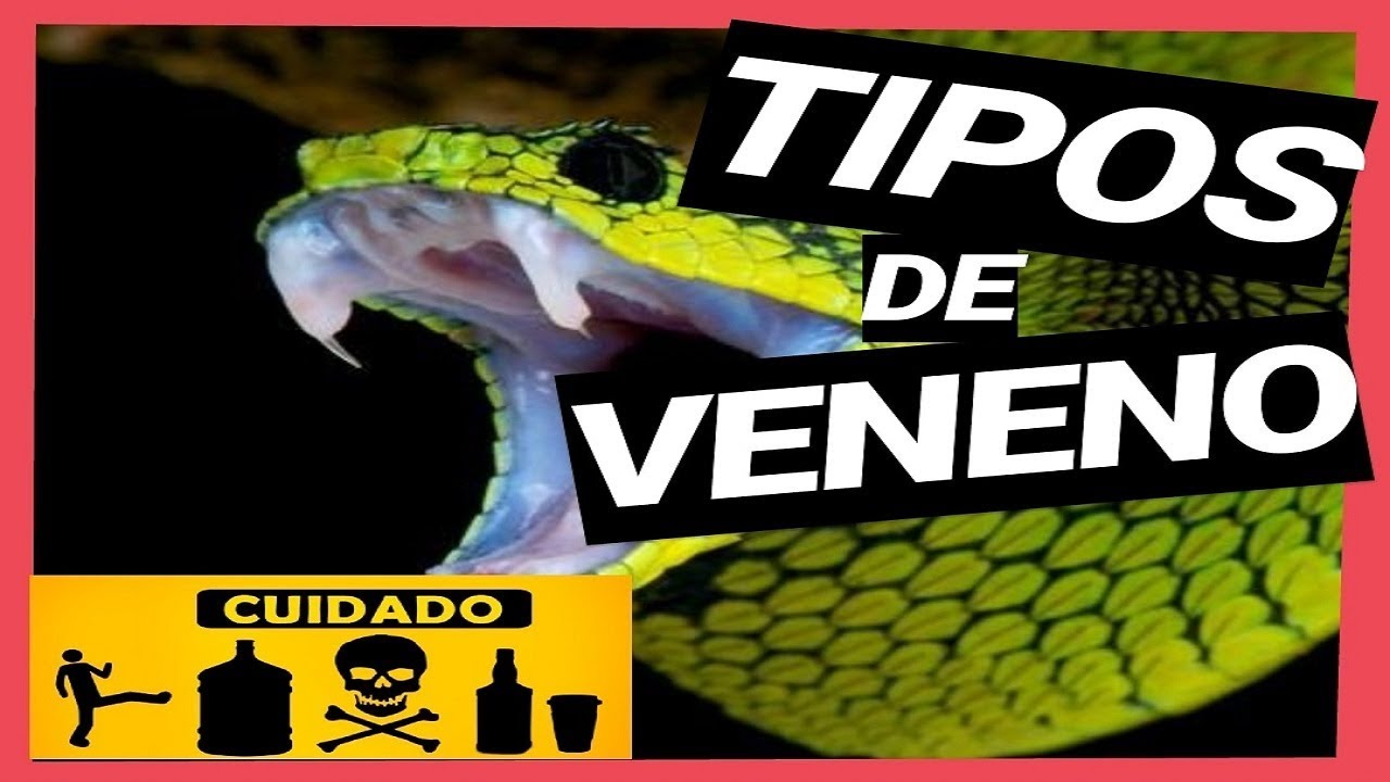 VENENO DE SERPIENTES ☣️🐍