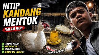 Indah yastami best album cover 2026