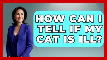 How Can I Tell If My Cat Is Ill? | Ask A Pet Vet