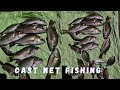 Sniper Fishing | Cast Net Fishing| # Blue Bird Rockers