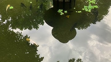 Advent Reflections - December 5, 2024