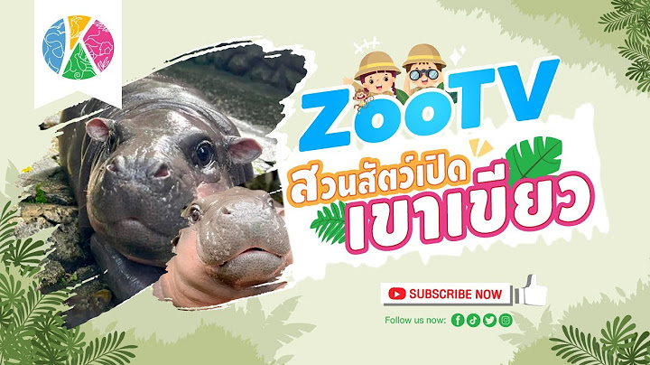 🔴 LIVE ! หมูเด้ง Moo Deng | สวนสัตว์เปิดเขาเขียว | OnePlanet