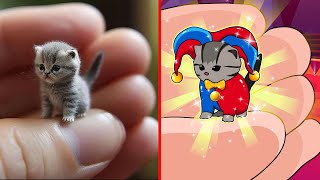 ?Cat Memes: Digital circus but Cute Funniest Animals 2023 ? New Funny Cats and Dogs ?? Part 43