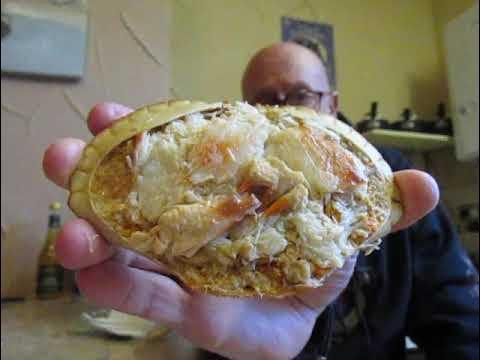 Hand Dressed Cromer Crab in the Shell - £6 . 00 p - from Morrisons
