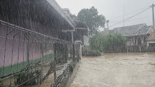 My Beautiful Village Almost Flooded!! Because the Rain is Very Heavy || Relaxation for a Deep Sleep
