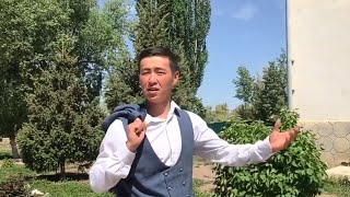 видео: Ыссык-Көл облусунун. Тоң районунун . Торт- Кул айыл. Төрт- Күл айылы өнүгүү жолунда .Чыгаан инсандар картинка: Ыссык-Көл облусунун. Тоң районунун . Торт- Кул айыл. Төрт- Күл айылы өнүгүү жолунда .Чыгаан инсандар