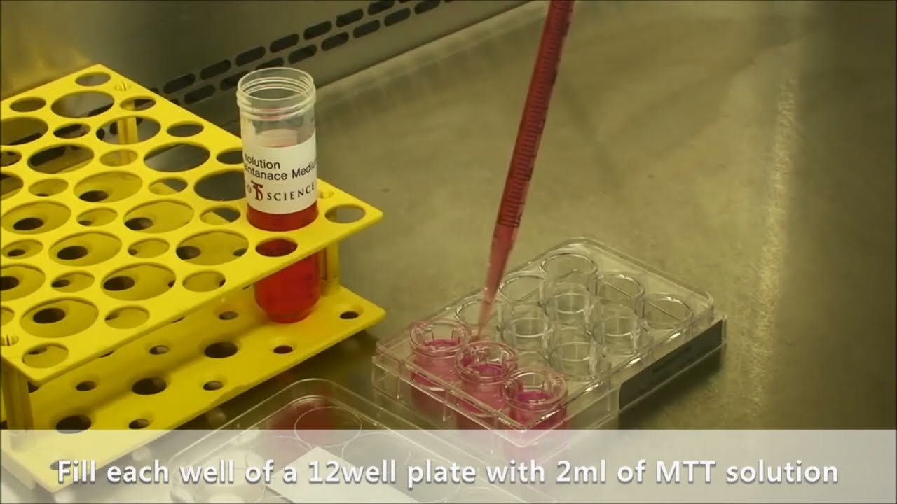 실험용 배양피부 Neoderm®을 이용한 자극시험