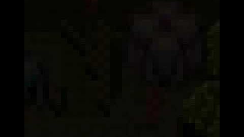 Chrono trigger LP part 2 "Random at the fair"