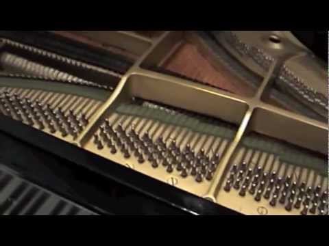 How to Buy a Great Used Piano - Inspect the Grand Piano Easy Before Purchase