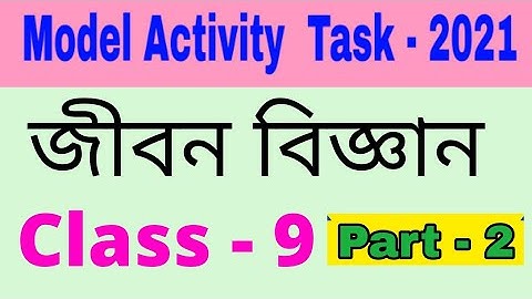 Model activity task class 9 life science part 2
