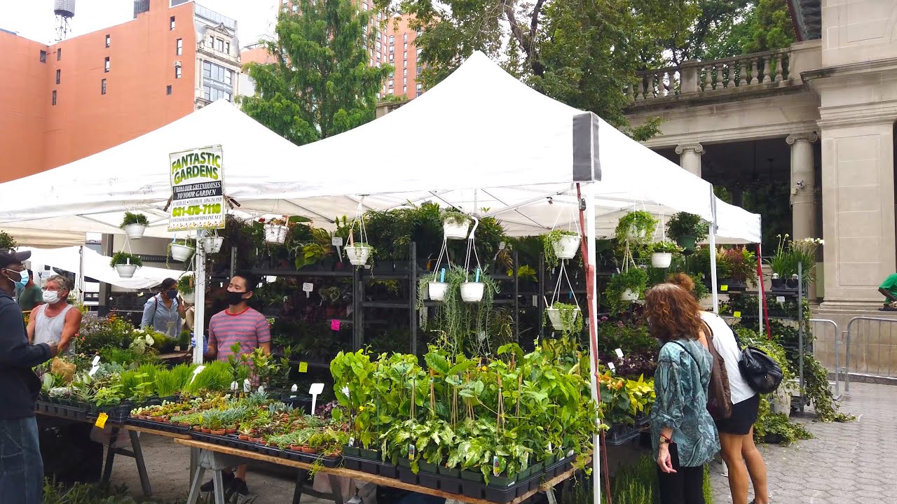 Walking NYC: 17th Street and 1st Avenue to Union Square Greenmarket