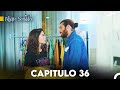 Pájaro soñador - Capitulo 36 (Audio Español) | Erkenci Kuş