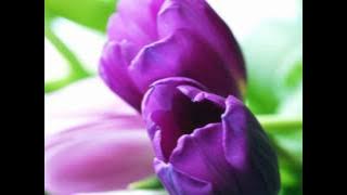 Allah de Kalbim Allah de-Grup Hacegan