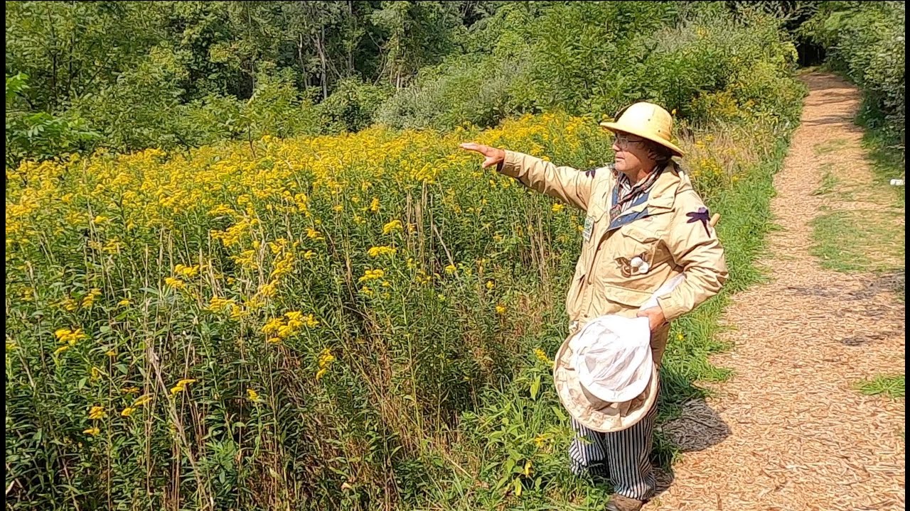 Class Insecta with Professor Arthur Pod - YouTube