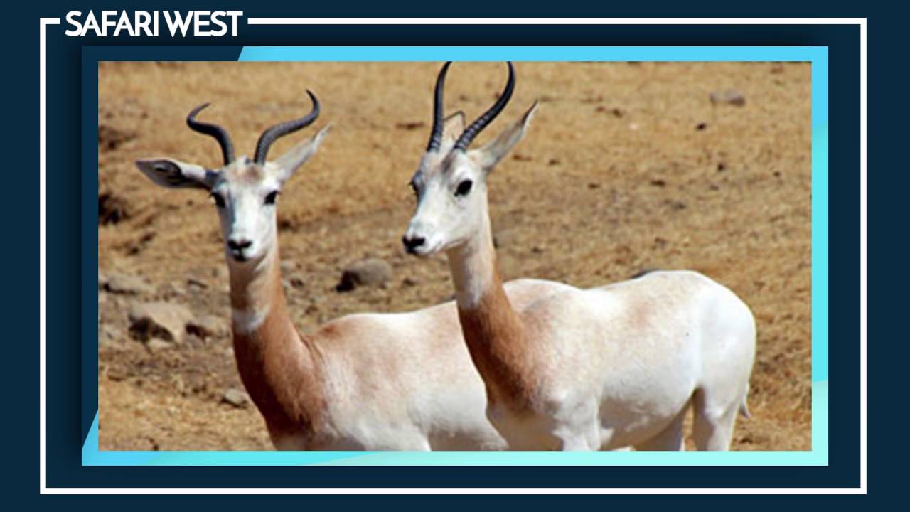 Top Five Things to Do in Napa Valley by Ramona Bruland