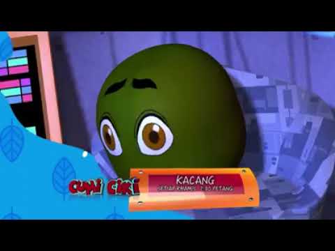 Cumi Ciki: Kacang Musim 15