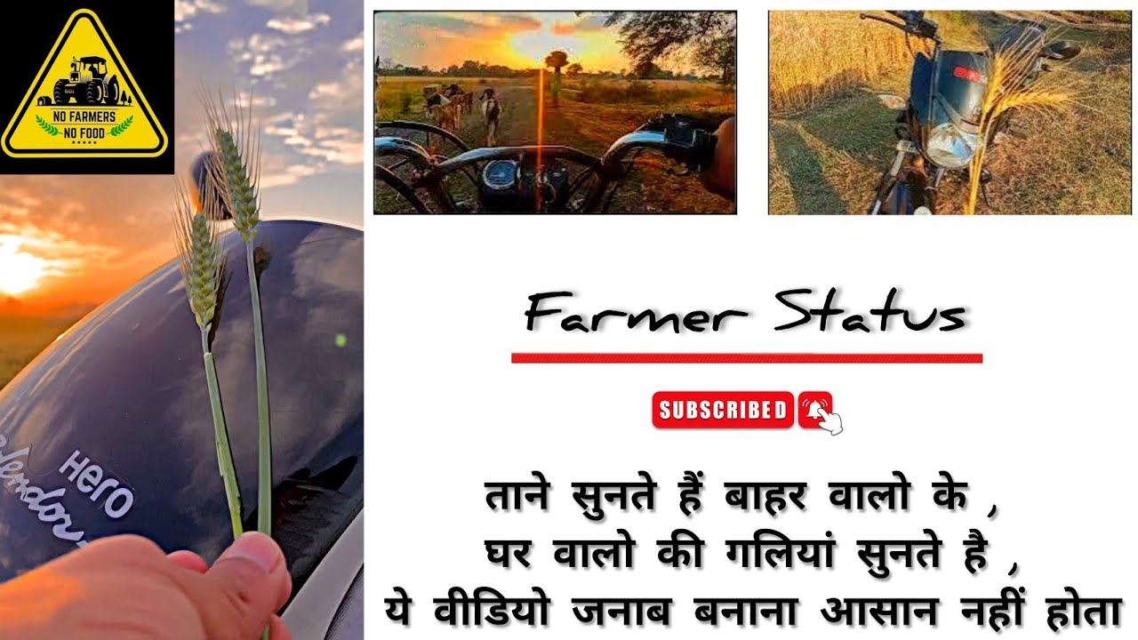 TANE SUNTE HAI BAHAR WALO KE GHAR WALO KI GALIYAN SUNTE HAI Y VIDEO