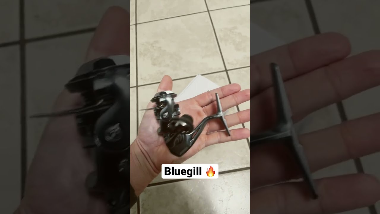SHIMANO◆リール/nasci500 2021 Shimano Nasci Spinning Fishing Reel Powerful Fishing