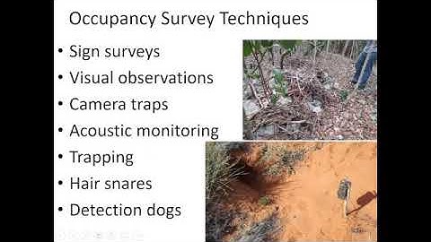 Occupancy Modeling Video 3 -- What are Occupancy Models and What are the Applications?