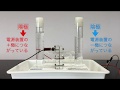 中学2年 理科 水の電気分解 中学2年 理科 水の電気分解