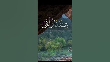 تلاوة عطره بصوت الشيخ محمد الفقية
