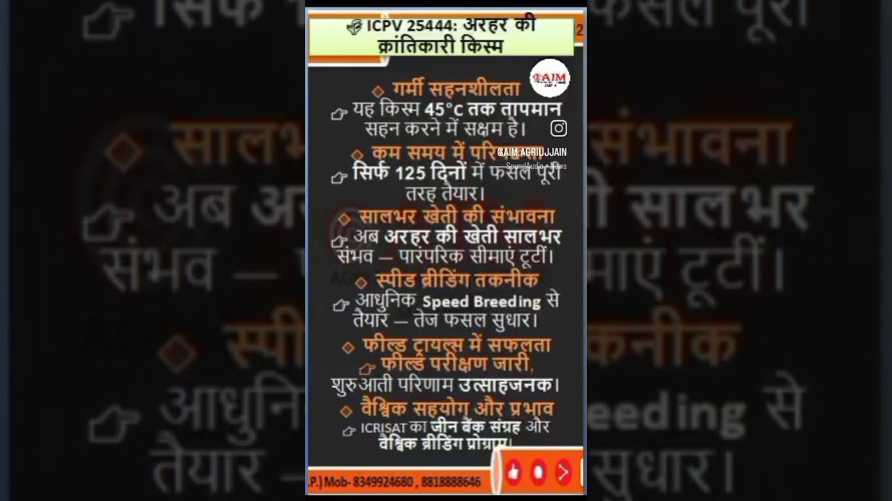 New variety of pigeon pea || ICPV 25444 by ICRISAT || HEAT TOLERANCE VARIETY