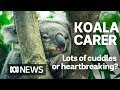 A day in the life of an Australian koala carer | ABC news
