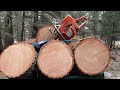 Husqvarna 395 xp Cuts Firewood