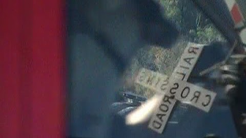 A Man, His Dog And A Train 11-4-11.mpg