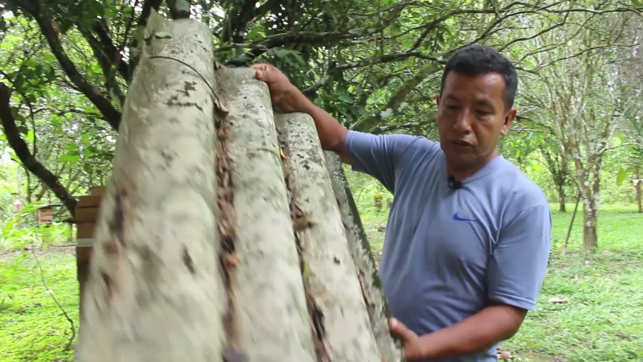 Conociendo el meliponario Tua ta uypi