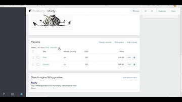 Shopify - Multi Country Pricing Tutorial