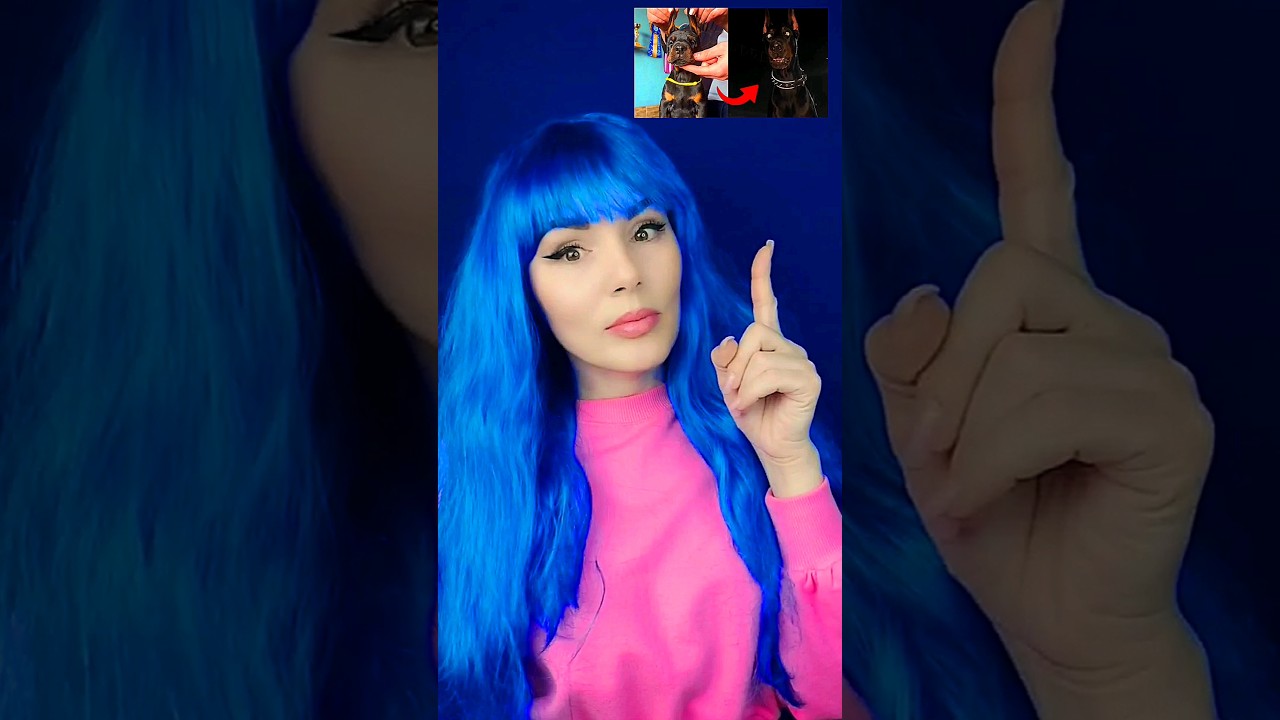 Before vs After growing up 🤏🐊 