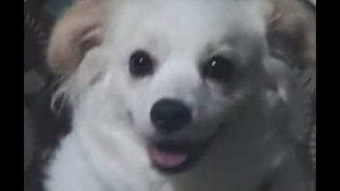 ECE 23 - PERFORMANCE TASK #1 || Eljann Sumanga