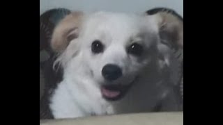 ECE 23 - PERFORMANCE TASK #1 || Eljann Sumanga