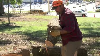 Free firewood in Danville