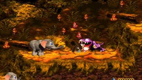 Donkey Kong Country 3: Dixie Kong