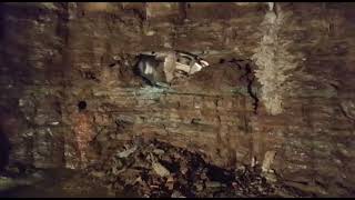 TBM Tunnel Breakthrough | Modern Tunnel Construction Without Blasting 🚧🔥#youtubevideo #youtube