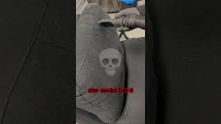 Cómo quitar el pelo de las mascotas del sofá