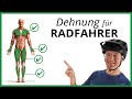 Die 4 BESTEN DEHNÜBUNGEN für Radfahrer (Unbedingt beachten!)
