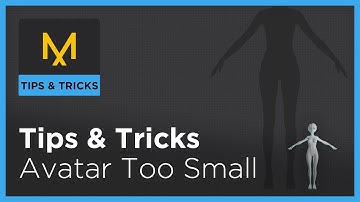 Tips & Tricks: Troubleshooting - Avatar Too Small