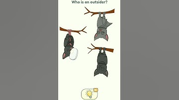 DOP 2 level 243 solution #youtubeshorts #shorts #gaming