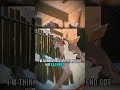 Balto f*cking dies #balto #cartoon #nostalgia